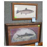 2 Framed And Glazed Fish Prints