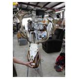 14point Elk Skull mount