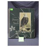 Large Portraits of Nature by James Lockhart