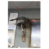 Turkey mount on branch