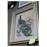 Framed Peacock shadowbox 24" x 19.5"