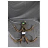 Two pairs deer antlers