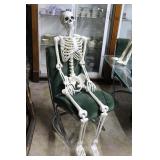 Long term auction guest - Skeleton