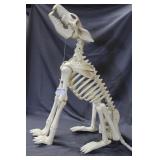 Chatty Skeleton dog