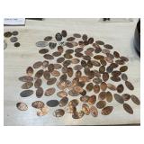100+ Pressed Penny or Pressed Quarter Souvenirs
