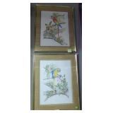 Framed Parrots 42 x 33 in,water color