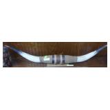 Texas Long Horn Steer horns, nice condition, 42"L