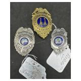 Three Florida Firefighter Department Badges incl