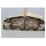 Petrified wood bookends