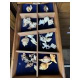 Shelf of shells - cones & sprials