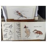 Porfolio Howard Bell original watercolor