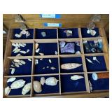 Shells & amethyst & petite shells