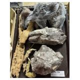 Tray lot petrified wood, petrified wood & dried