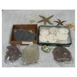 Sea Life Grouping incl Starfish, sand dollars,