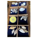 23 Shells assorted style
