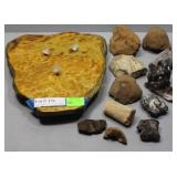 11 Assorted Fossils and Stone Table top Torch