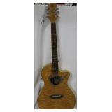 Luna 6-String Acoustic Guitar Model FAU HUM Serial