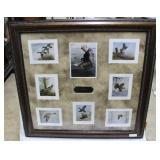 Framed bird prints by David Hagerbaumer 42" x 40"