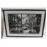 Loxahatchee River #2  6/250  by Clyde Butcher