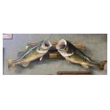 Two large mouth baths taxidermy mounts on