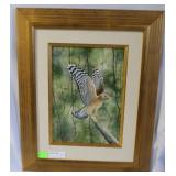John Costin framed print red double breasted hawk