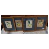 Four Deweys Series burl framed fruit prints