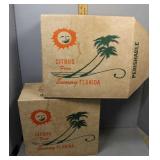 Two Vintage Florida Citrus Display Boxes