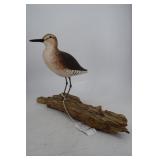 Hand carved shore bird artist signed