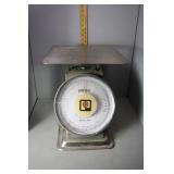 Stainless Steel Pelouze Scale - 13' x 13' platform