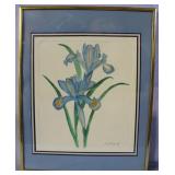 Spanish Iris framed watercolor signed Gonzalez low