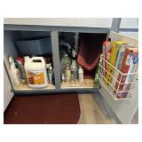 Cabinet of cleaning supplies