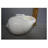 Wedgwood Nautilustra white porcelain shell vase