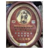 Framed American Indian Coin Collection incl (15) I