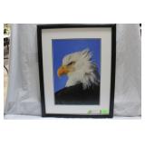 Thomas Mangelsen's framed photo print of Eagle 28'