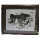 Eagle framed print 29' x 37'