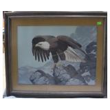 Framed print of Eagle on rock 35' x 42'