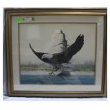 Eagle in Flight print 31' x 36'