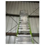 Little Giant 12' safety cage ladder