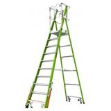 Little Giant Safety Cage ladder