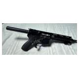 Palmetto PA-15 Multi 5.56 Nato 9" stainless steel
