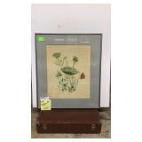 Framed, matted, watercolor, milkweed flower w/