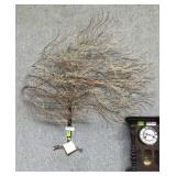 Custom made art wind blown tree, solid brass rod,