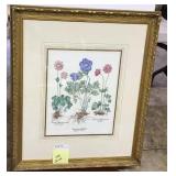 Framed, matted, print. Flowers w/ botanical names