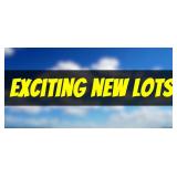 EXCITING NEW LOTS