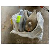 Group of Duck Decoys