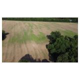 10.03 Acres Julian Rd