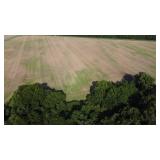 10.02 Acres Julian Rd