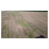 10.03 Acres Julian Rd