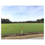 10.20 Acres Burnett Rd