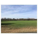 10.02 Acres Julian Rd